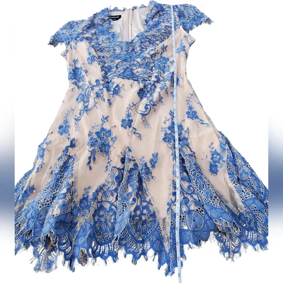 ✨️HP✨️Bebe Valorie Lace Godet Dress - Blue & Nude Size 6 - Picture 8 of 8
